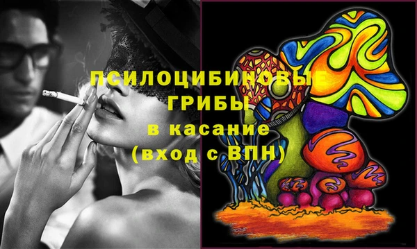 ПСИЛОЦИБИНОВЫЕ ГРИБЫ Баксан